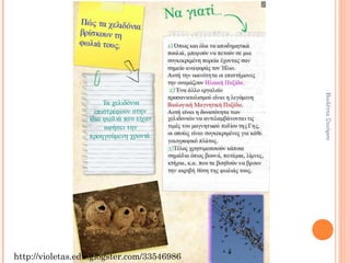Βιολέττα Σταύρου
http://violetas.edu.glogster.com/33546986
 