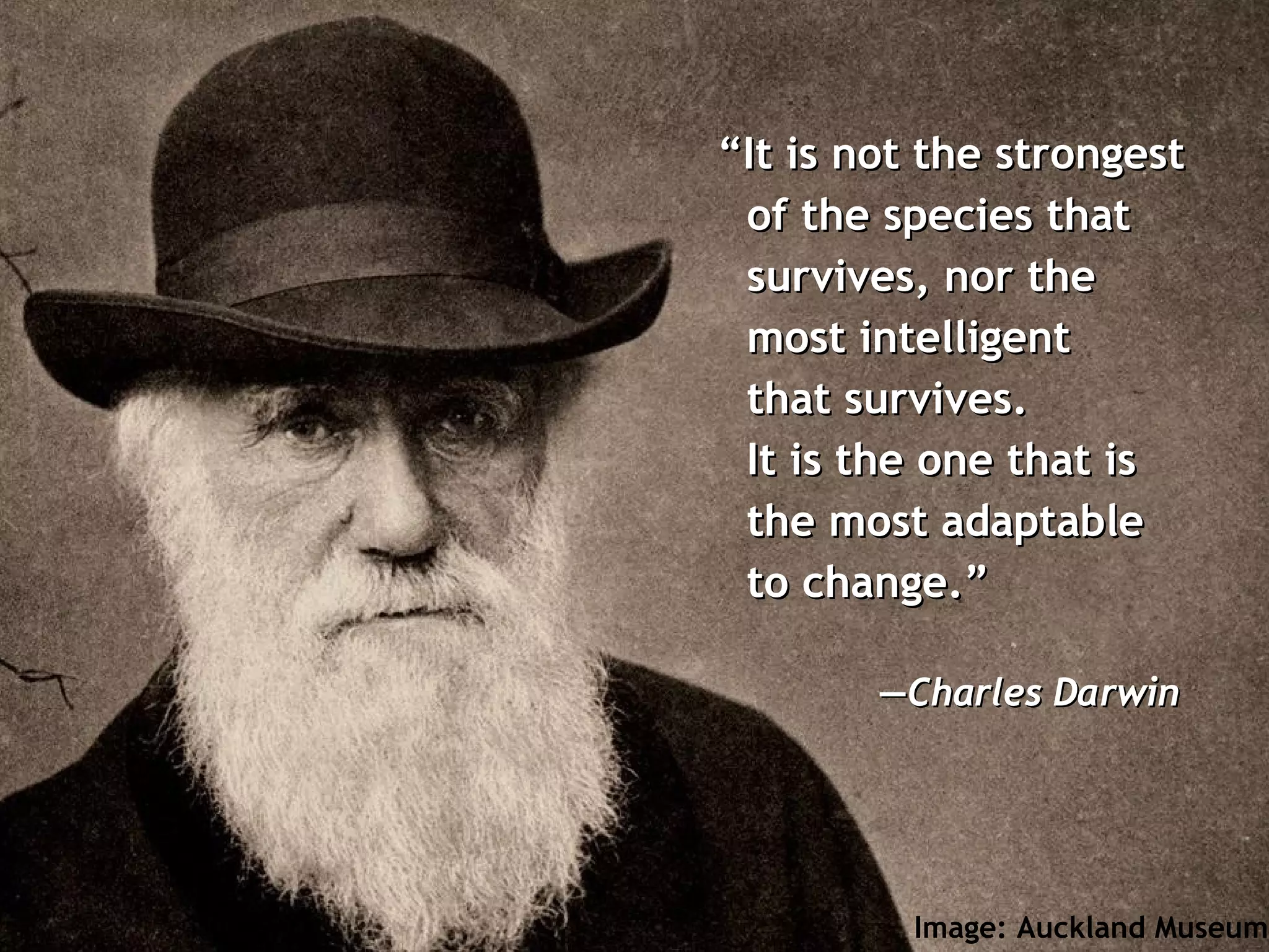 “ It is not the strongest of the species that survives, nor the most intelligent  that survives.  It is the one that is the most adaptable to change.” — Charles Darwin Image: Auckland Museum 