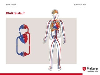 Blutkreislauf Stand: Juni 2008 Blutkreislauf  |   Folie  