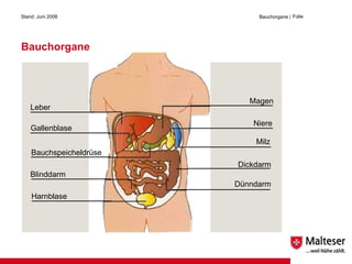 Bauchorgane Stand: Juni 2008 Bauchorgane  | Folie  Leber Gallenblase Bauchspeicheldrüse Blinddarm Harnblase Magen Niere Milz Dickdarm Dünndarm 