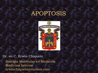 APOPTOSIS Biología Molecular en Medicina Medicina Interna [email_address] Dr. en C. Erwin Chiquete 