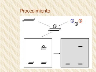 Procedimiento A C B B 