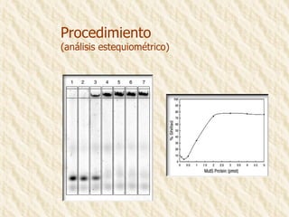 Procedimiento (análisis estequiométrico) 