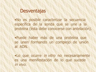 Desventajas No  es  posible  caracterizar  la  secuencia  específica  de  la  sonda  que  se  une  a  la proteína (ésta debe conocerse con antelación). Puede  haber  más  de  una  proteína  que se  unen  formando  un  complejo  de  unión al  ADN. Lo  que  ocurre  in vitro   no  necesariamente es  una  menifestación  de  lo  que  sucede  in vivo. 