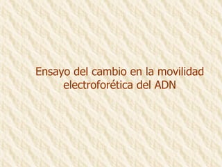 Ensayo del cambio en la movilidad electroforética del ADN 
