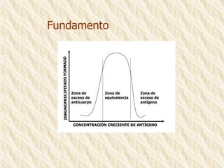 Fundamento Zona de equivalencia Zona de exceso de anticuerpo Zona de exceso de antígeno INMUNOPRECIPITADO FORMADO CONCENTRACIÓN CRECIENTE DE ANTÍGENO 