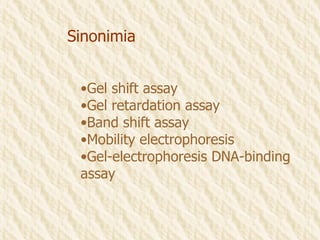Sinonimia Gel shift assay Gel retardation assay Band shift assay Mobility electrophoresis Gel-electrophoresis DNA-binding assay 