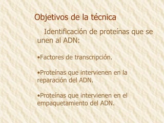 Objetivos de la técnica Identificación de proteínas que se  unen al ADN: Factores de transcripción. Proteínas que intervienen en la reparación del ADN. Proteínas que intervienen en el  empaquetamiento del ADN. 