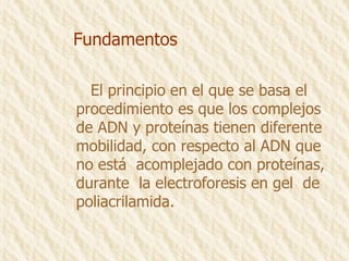 Fundamentos El principio en el que se basa el procedimiento es que los complejos de ADN y proteínas tienen diferente mobilidad, con respecto al ADN que no está  acomplejado con proteínas, durante  la electroforesis en gel  de poliacrilamida. 