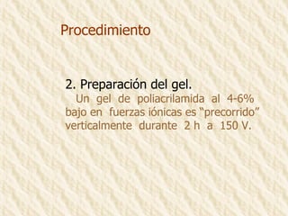 Procedimiento 2. Preparación del gel. Un  gel  de  poliacrilamida  al  4-6%  bajo en  fuerzas iónicas es “precorrido”  verticalmente  durante  2 h  a  150 V. 