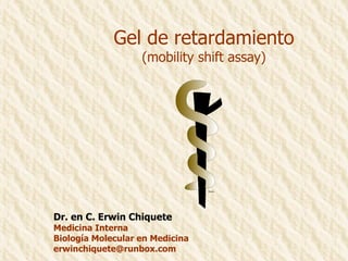 Gel de retardamiento (mobility shift assay) Dr. en C. Erwin Chiquete Medicina Interna Biología Molecular en Medicina [email_address] 