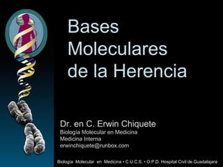 Bases  Moleculares de la Herencia Dr. en C. Erwin Chiquete Biología Molecular en Medicina Medicina Interna [email_address] Biología  Molecular  en  Medicina  • C.U.C.S. • O.P.D. Hospital Civil de Guadalajara 