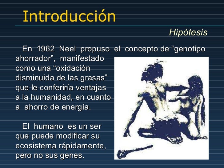 Erwin. biología molecular de insulinorresistencia Erwin. biología molecular de insulinorresistencia