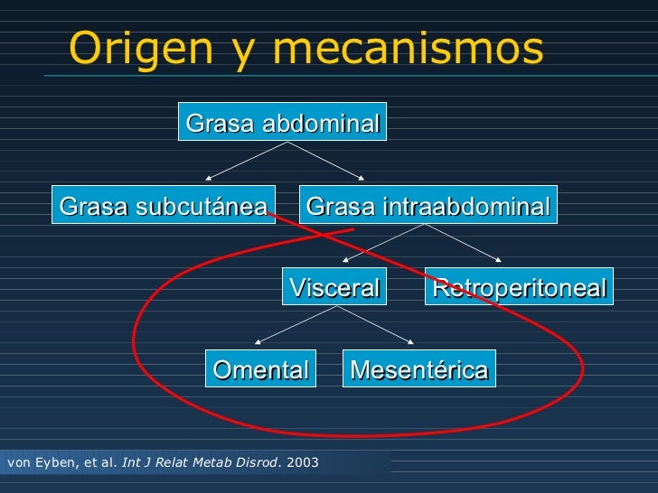Erwin. biología molecular de insulinorresistencia Erwin. biología molecular de insulinorresistencia