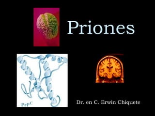 Priones Dr. en C. Erwin Chiquete 