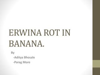 ERWINA ROT IN
BANANA.
By
-Aditya Bhosale
-Parag More
 