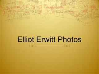 Elliot Erwitt Photos
 