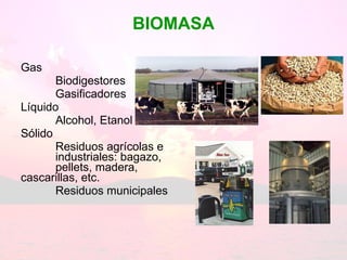 BIOMASA Gas Biodigestores Gasificadores Líquido Alcohol, Etanol Sólido Residuos agrícolas e  industriales: bagazo,  pellets, madera,  cascarillas, etc. Residuos municipales 