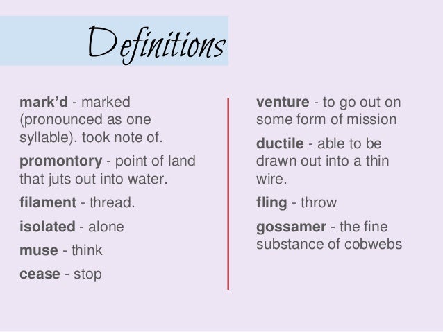 An Analysis Of Walt Whitmans A Noiseless Patient Spider Www Fuelcellstore Com