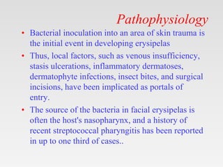 Pathophysiology
• Bacterial inoculation into an area of skin trauma is
the initial event in developing erysipelas
• Thus, local factors, such as venous insufficiency,
stasis ulcerations, inflammatory dermatoses,
dermatophyte infections, insect bites, and surgical
incisions, have been implicated as portals of
entry.
• The source of the bacteria in facial erysipelas is
often the host's nasopharynx, and a history of
recent streptococcal pharyngitis has been reported
in up to one third of cases..
 