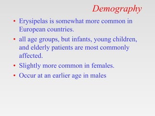 Demography
• Erysipelas is somewhat more common in
European countries.
• all age groups, but infants, young children,
and elderly patients are most commonly
affected.
• Slightly more common in females.
• Occur at an earlier age in males
 