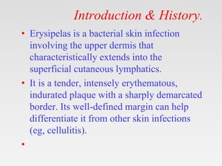 Introduction & History.
• Erysipelas is a bacterial skin infection
involving the upper dermis that
characteristically extends into the
superficial cutaneous lymphatics.
• It is a tender, intensely erythematous,
indurated plaque with a sharply demarcated
border. Its well-defined margin can help
differentiate it from other skin infections
(eg, cellulitis).
•
 