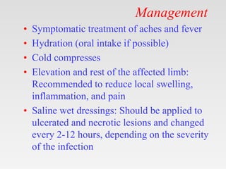 Management
• Symptomatic treatment of aches and fever
• Hydration (oral intake if possible)
• Cold compresses
• Elevation and rest of the affected limb:
Recommended to reduce local swelling,
inflammation, and pain
• Saline wet dressings: Should be applied to
ulcerated and necrotic lesions and changed
every 2-12 hours, depending on the severity
of the infection
 