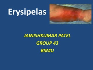Erysipelas

    JAINISHKUMAR PATEL
          GROUP 43
           BSMU
 