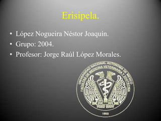 Erisipela.
• López Nogueira Néstor Joaquín.
• Grupo: 2004.
• Profesor: Jorge Raúl López Morales.

 