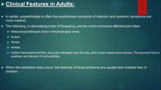  Clinical Features in Adults:
 In adults, polyarthralgia is often the predominant symptom of infection and systemic symptoms are
more marked.
 The following, in decreasing order of frequency, are the most commonly affected joint sites:
 Metacarpophalangeal and/or interphalangeal areas
 Knees
 Wrists
 Ankles
 Unlike rheumatoid arthritis, joint pain worsens over the day, and no joint destruction occurs. The synovial fluid is
acellular and devoid of viral particles
 When the exanthem does occur, the features of facial erythema are usually less marked than in
children.
 