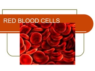 RED BLOOD CELLS
 