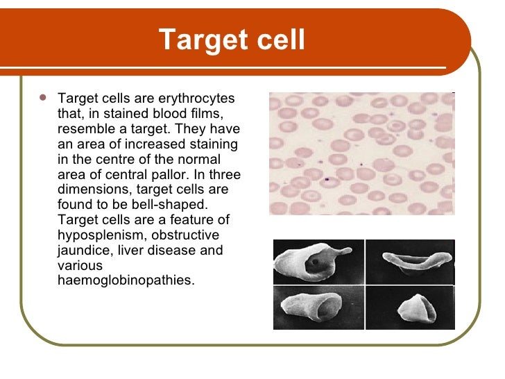 target cell