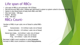 Erythocytes by Iram Ansari M.Sc. II Year.pptx