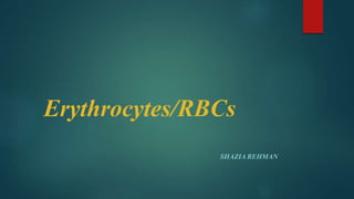 Erythrocytes/RBCs
SHAZIA REHMAN
 