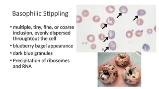 Coarse Inclusions Erythrocyte-Morphology-and-Inclusions 2 (2).pptx