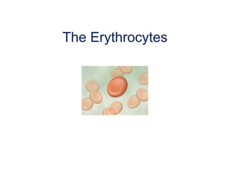 The Erythrocytes
 