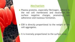  Plasma proteins, especially fibrinogen, adhere to
the red cell membranes and neutralize the
surface negative charges, promoting cell
adherence and rouleaux formation.
 ESR is directly proportional to the weight of the
cell aggregates.
 It is inversely proportional to the surface area
Mechanism
 