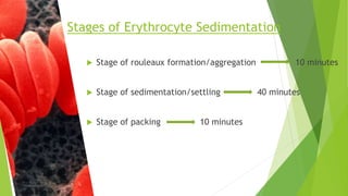 Stages of Erythrocyte Sedimentation
 Stage of rouleaux formation/aggregation 10 minutes
 Stage of sedimentation/settling 40 minutes
 Stage of packing 10 minutes
 