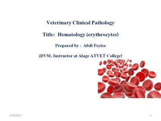 Erythrocytes in veterinary clinical  medicine