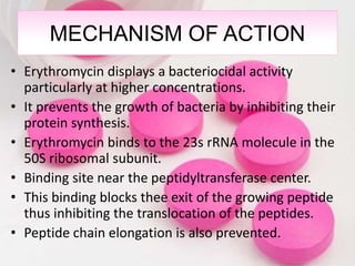 MECHANISM OF ACTION
• Erythromycin displays a bacteriocidal activity
particularly at higher concentrations.
• It prevents the growth of bacteria by inhibiting their
protein synthesis.
• Erythromycin binds to the 23s rRNA molecule in the
50S ribosomal subunit.
• Binding site near the peptidyltransferase center.
• This binding blocks thee exit of the growing peptide
thus inhibiting the translocation of the peptides.
• Peptide chain elongation is also prevented.
 