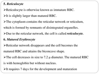 Erythropoiesis blood circulatory system1.pdf