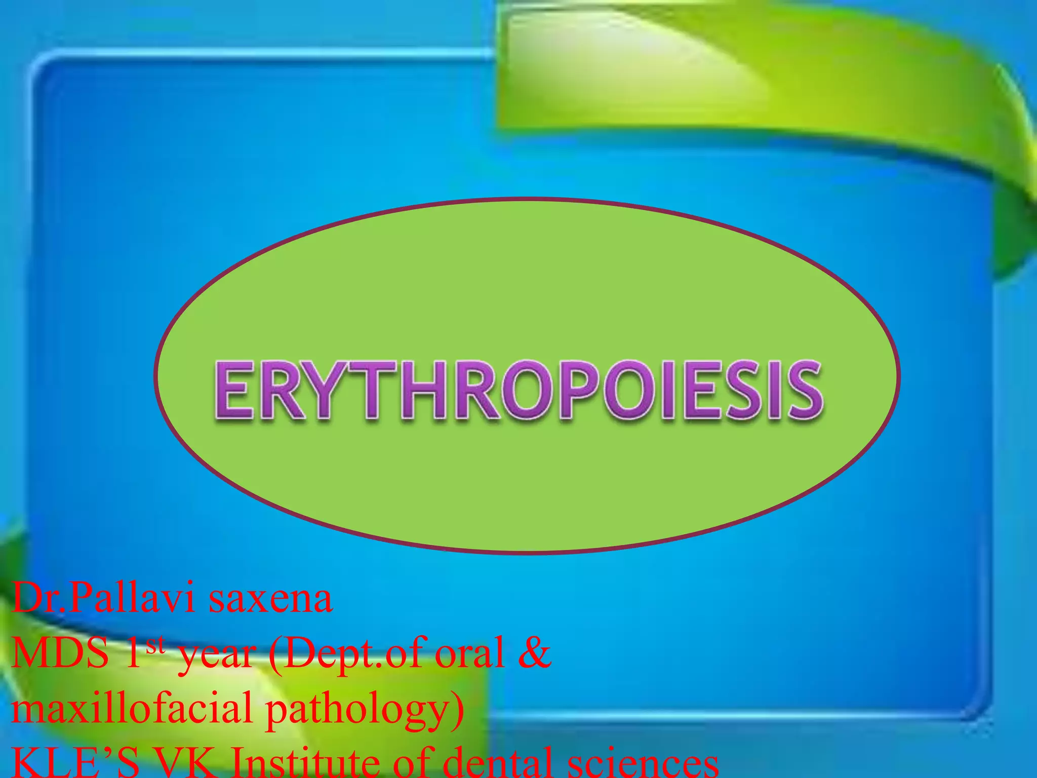 Erythropoiesis | PPT