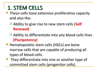 1. STEM CELLS1. STEM CELLS
 These cells have extensive proliferative capacity
and also the:
 Ability to give rise to new stem cells (Self
Renewal)
 Ability to differentiate into any blood cells lines
(Pluripotency)
 Hematopoietic stem cells (HSCs) are bone
marrow cells that are capable of producing all
types of blood cells.
 They differentiate into one or another type of
committed stem cells (progenitor cells).
 