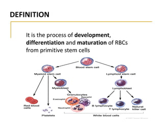 It is the process of development,
differentiation and maturation of RBCs
from primitive stem cells
DEFINITION
 