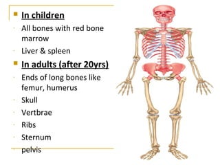  In children
- All bones with red bone
marrow
- Liver & spleen
 In adults (after 20yrs)
- Ends of long bones like
femur, humerus
- Skull
- Vertbrae
- Ribs
- Sternum
- pelvis
 