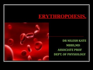 DR NILESH KATE
MBBS,MD
ASSOCIATE PROF
DEPT. OF PHYSIOLOGY
ERYTHROPOIESIS.
 