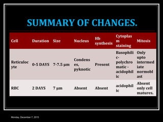 Pknotic Rbc ERYTHROPOIESIS | PPT