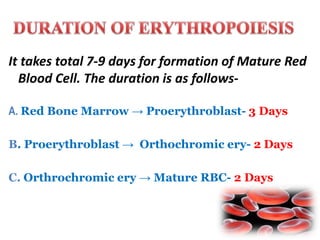 Erythropoiesis | PPTX