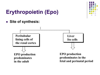 Erythropoietin (Epo)
 Site of synthesis:
Peritubular
lining cells of
the renal cortex
Liver
Ito cells
EPO production
predominates
in the adult
EPO production
predominates in the
fetal and perinatal period
 
