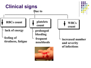 Clinical signs
Due to
RBCs count platelets
count
WBCs
count
lack of energy
feeling of
tiredness, fatigue
prolonged
bleeding
frequent
nosebleeds
increased number
and severity
of infections
 